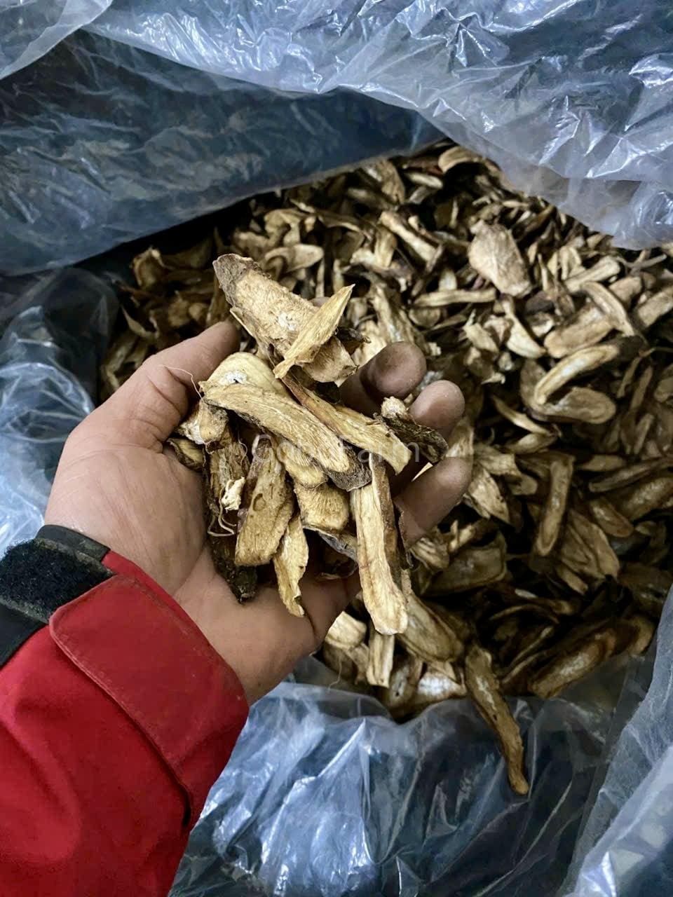 Ngưu Bàng Khô 6 Ngưu bàng khô là gì?