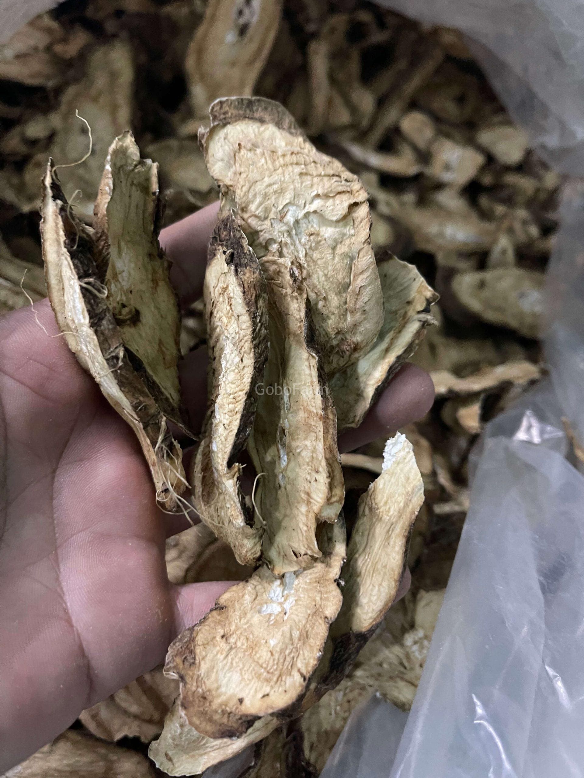 Ngưu Bàng Khô 12 Thành phẩm sau khi sấy ngưu bàng