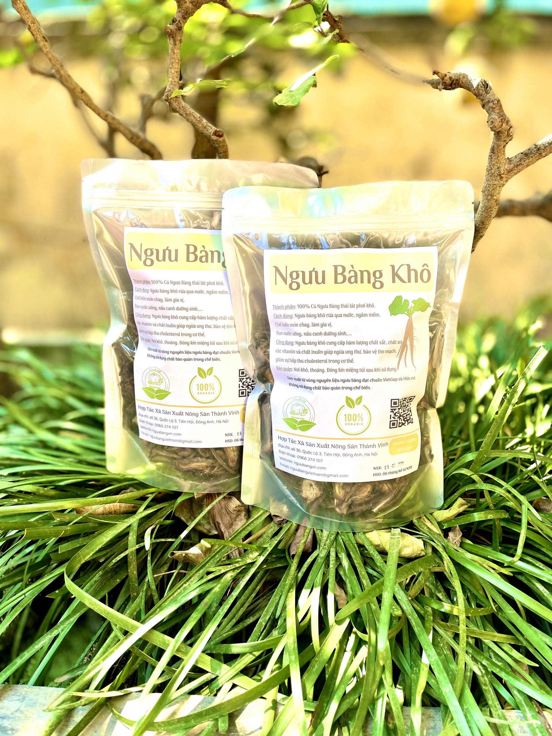 Ngưu Bàng Khô 13 nguu-bang-kho4