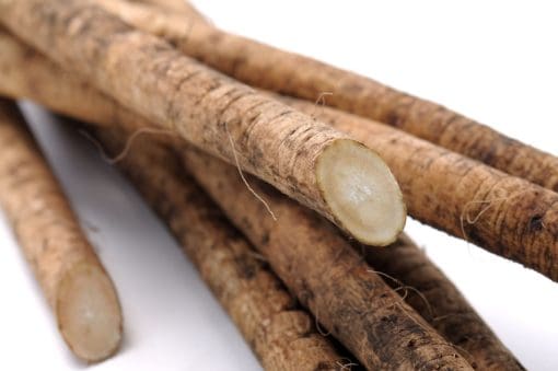ngưu-báng-nhật
